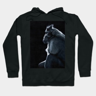 Sulawesi Macaque Hoodie